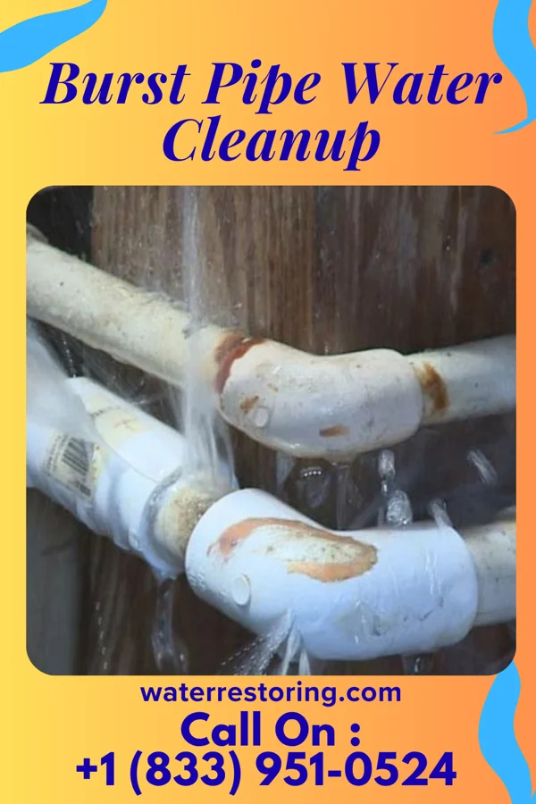 Burst Pipe Water Cleanup in Kennett, MO