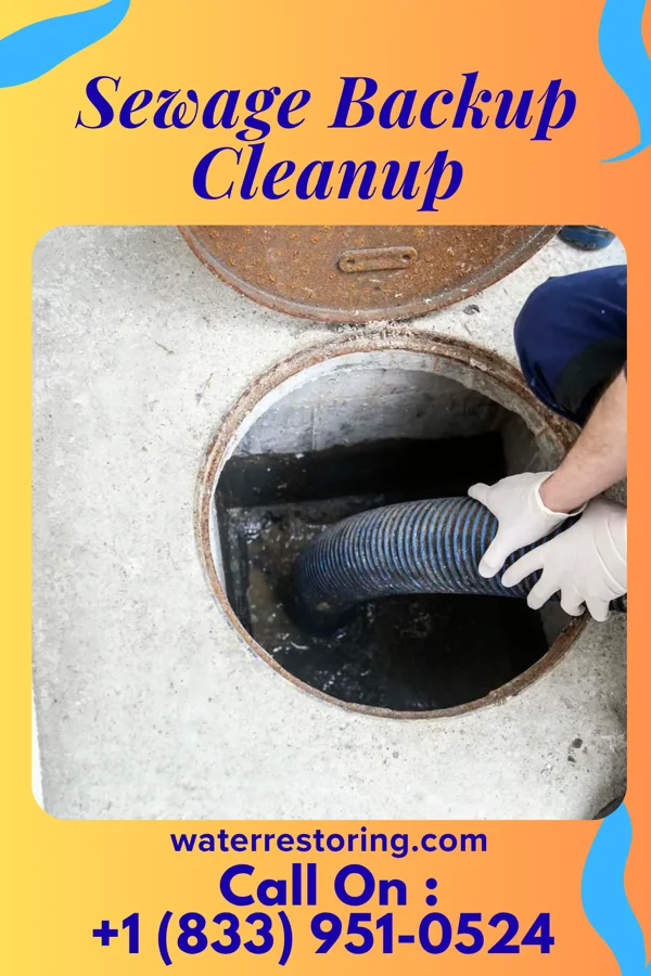 Sewage Backup Cleanup in Kennett, MO
