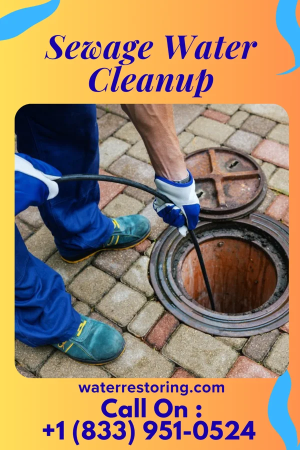 Sewage Water Cleanup in Kennett, MO
